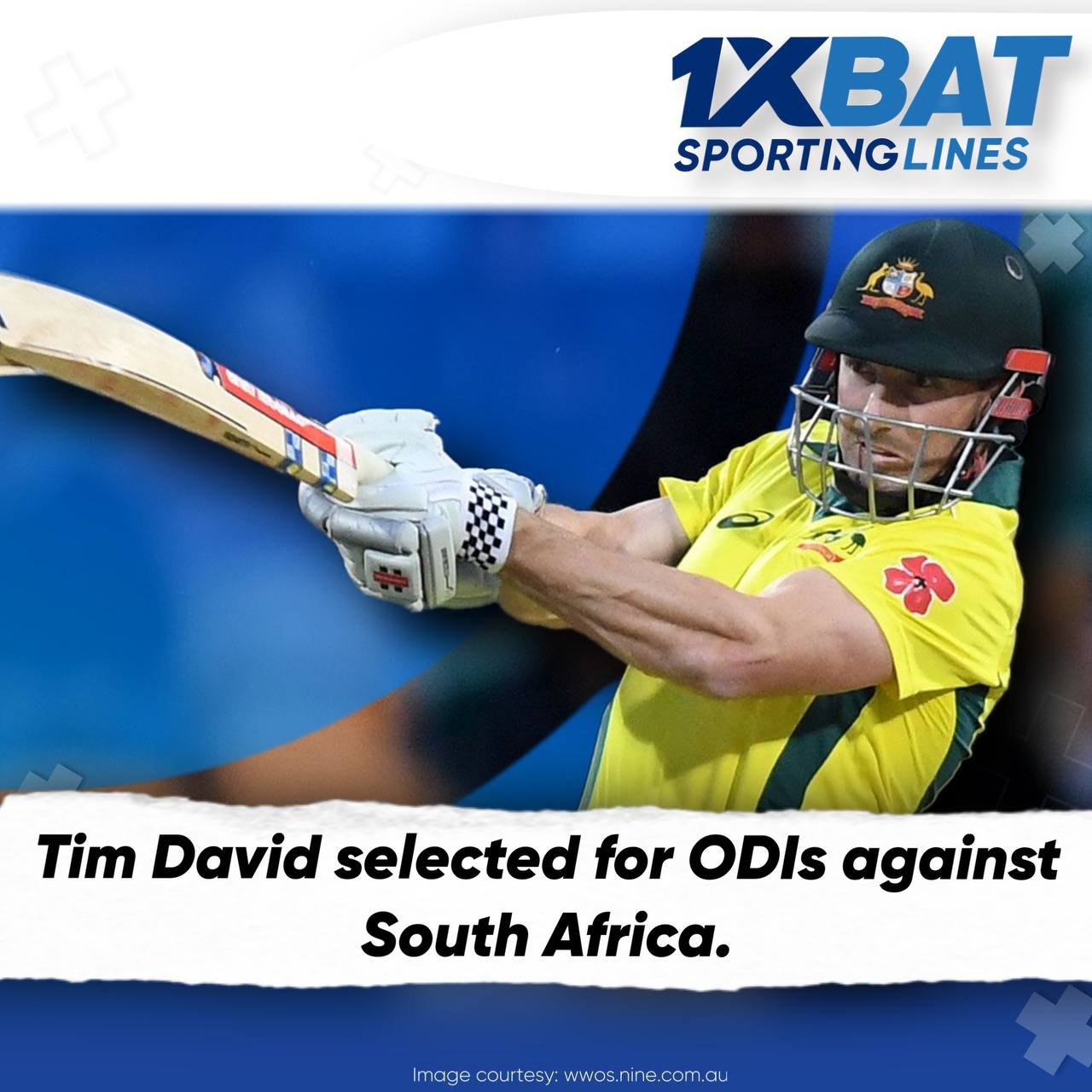 Tim David'S Explosive 83: The Darwin T20 Highlight Reel! - brl8g01